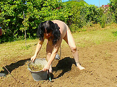 Gardening For Naked Slave Slut Pt2