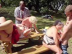 Three BBW Grannies go dogging in the park